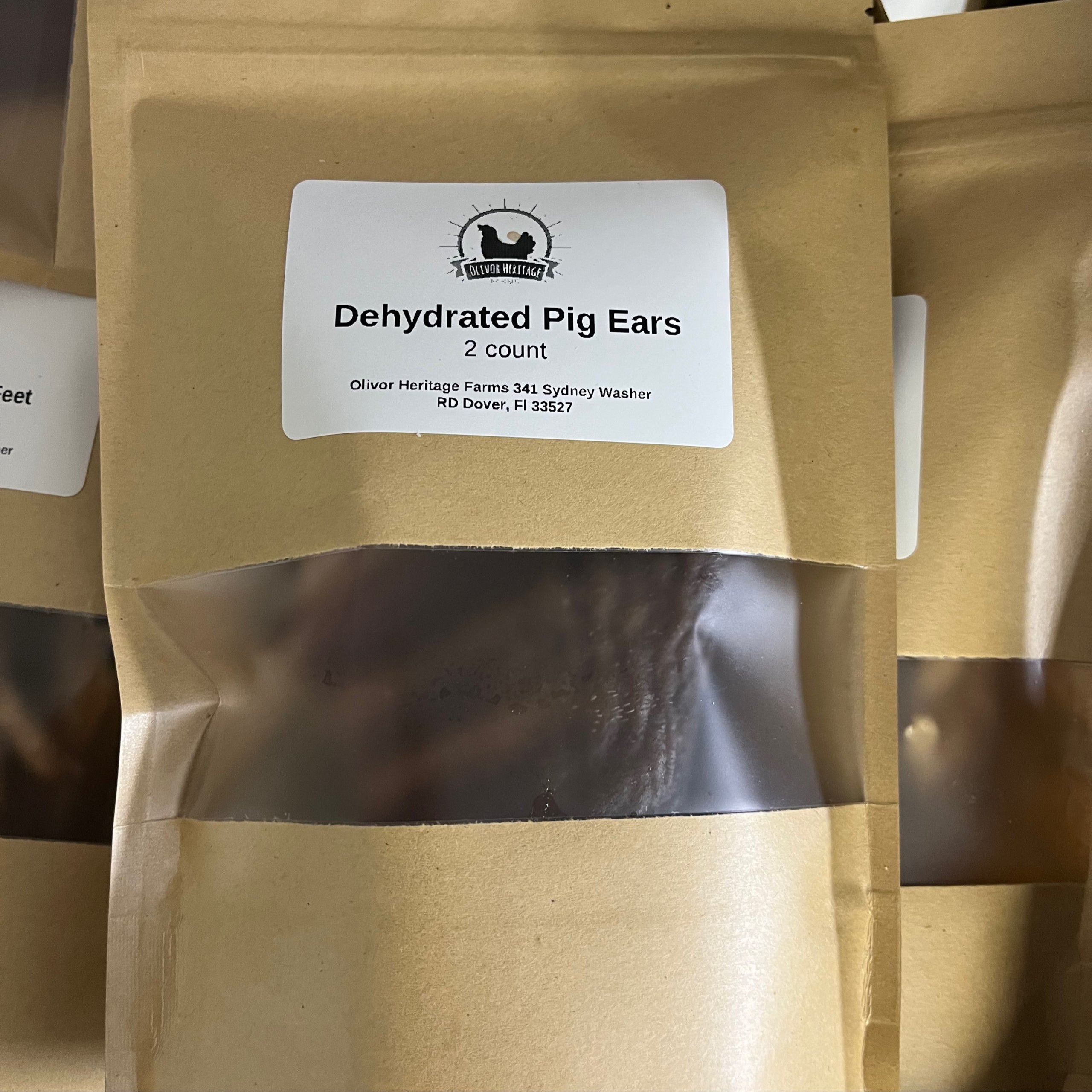 Dehydrated Guinea Pig? Hidden Dangers Of Low Water Intake - 2q919ju